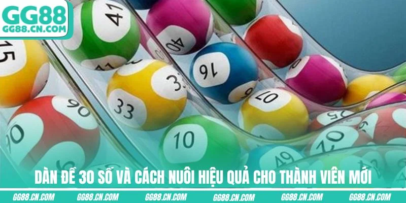 Ảnh đại diện dàn đề 30 số